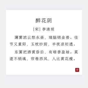 醉花阴：穿越时光的青春爱恋