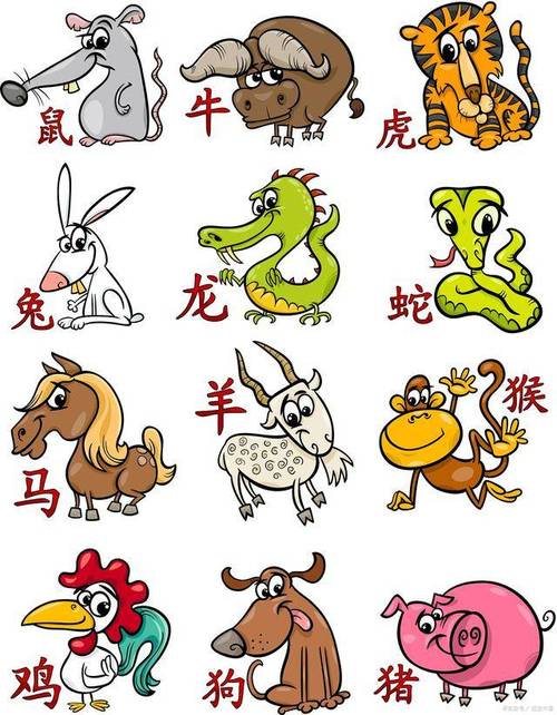 12月生肖羊马蛇运势高峰：把握转折点秘籍！