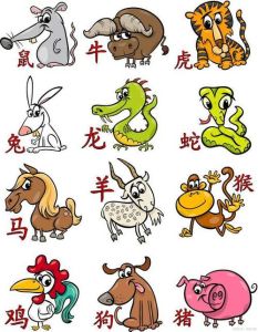 12月生肖羊马蛇运势高峰：把握转折点秘籍！