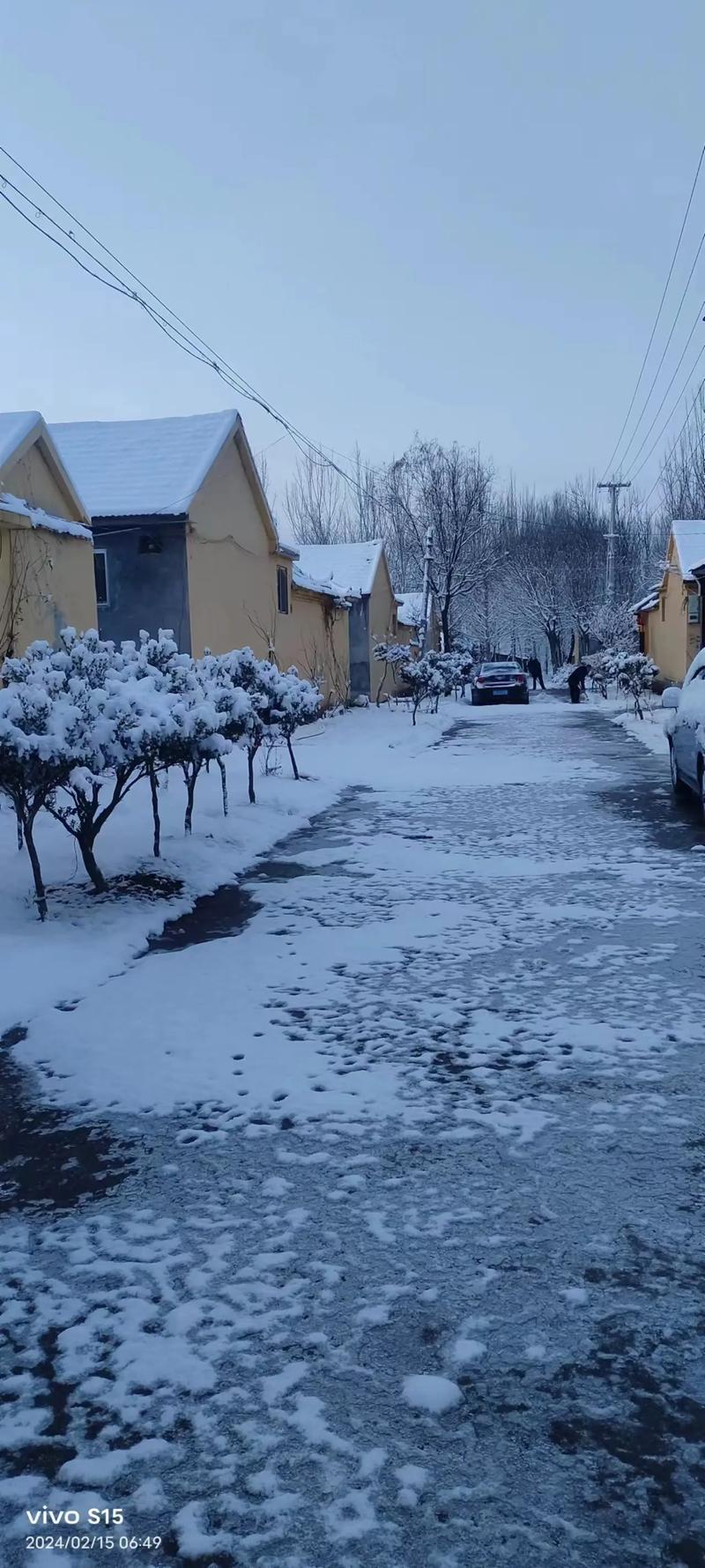 2024大雪生肖运势：龙马猴狗转运时刻！