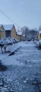 2024大雪生肖运势：龙马猴狗转运时刻！