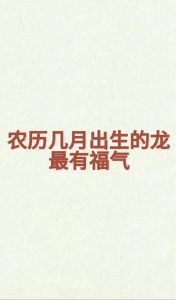 鼠龙蛇猪运势爆发：把握时机迎好运！