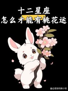 2025年桃花运势暴涨：四大生肖星座脱单指南