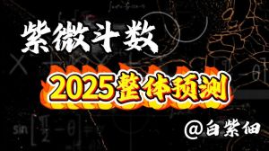2025职场新转机：紫微分析揭秘行动力强者的机遇