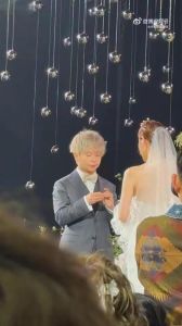 爱情的力量：小杨和小李的真实故事