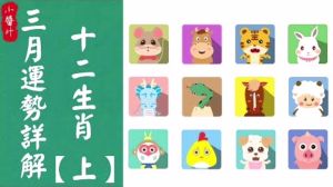 12月10生肖蛇龙兔运势揭秘：命运转盘将如何转动？