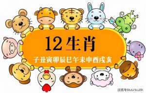 2024年12月9日运势：吉日大揭秘，生肖运势各不同！