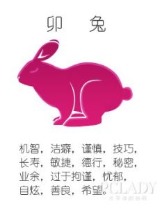 12月生肖运势爆发：属鸡马兔羊迎好运！
