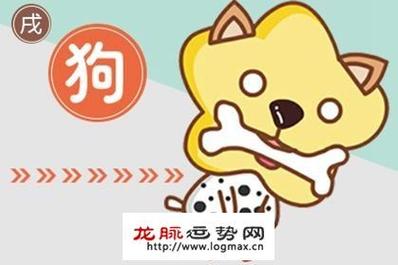 12月生肖狗鸡马运势大解析：顺风顺水，潜能爆发时！