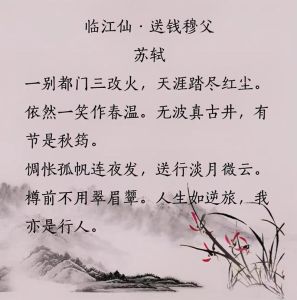 12月生肖羊虎猴好运来袭，把握机遇，人生如逆旅！