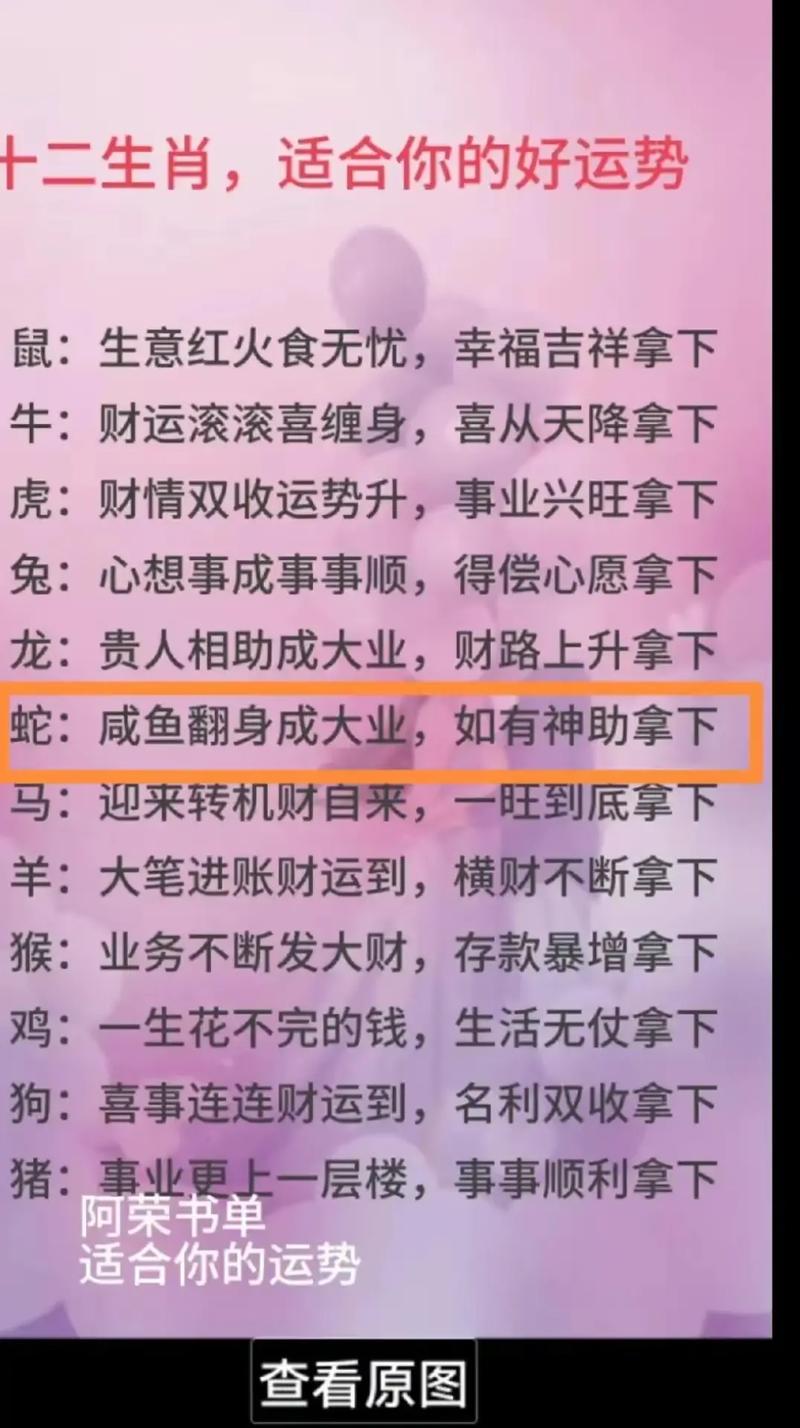 12月生肖鸡蛇牛好运来袭，财运心愿有望实现！