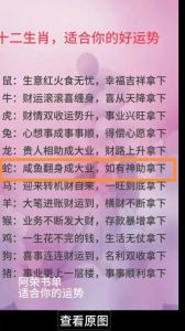 12月生肖鸡蛇牛好运来袭，财运心愿有望实现！