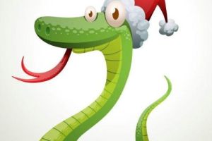 12月生肖兔蛇猪桃花旺盛：前任回归，爱情重燃指南