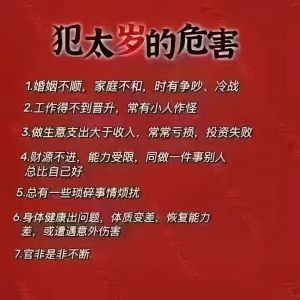 生肖感情试探：揭秘属龙属马属鸡属狗的不同表现