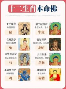 生肖龙兔蛇本月运势旺，爱情事业双丰收指南