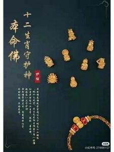 2025生肖健康挑战：揭秘平安密码，解锁幸福生活！
