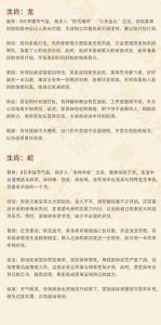 12月10日生肖运势：飙升与谨慎指南