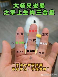 揭秘自信满分星座：谁是万人迷之王？