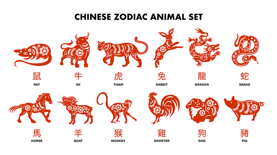 12月中旬生肖虎龙猴马财运旺，事业投资双丰收！