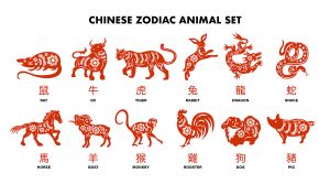 12月中旬生肖虎龙猴马财运旺，事业投资双丰收！