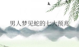 下午遇见蛇的七大预兆：七大预兆揭示人生启示
