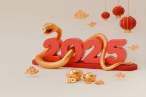 2025年本命年蛇年要注意什么：运势调整与吉祥指南