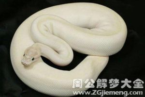 梦见大蟒蛇是好还是坏：好运挑战揭秘！