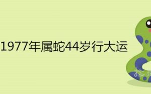 1977年蛇女最忌三个颜色：颜色生肖吉祥物禁忌大曝光！