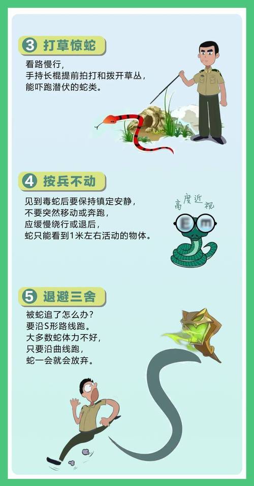 冬天见到蛇会发生好事吗：吉凶文化背后的自然智慧