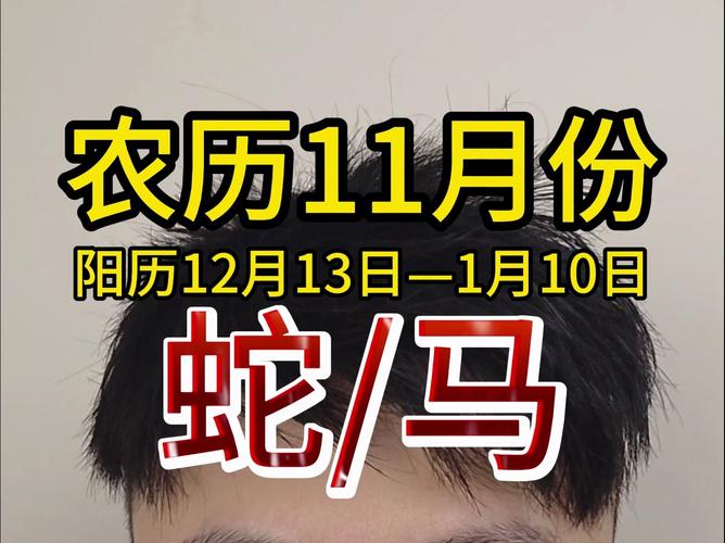 11月见蛇最忌讳什么：蛇缠脚预兆与挑战应对