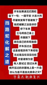 路上遇见蛇是吉是凶？揭秘蛇的征兆及应对技巧！