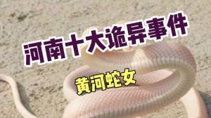 1977年蛇女下半生：事业财运情感健康全解析