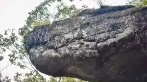 为什么上天不让蛇渡劫：成龙传说的现代探秘