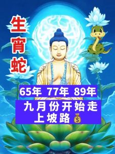 77年蛇2025年运势：挑战与机遇并存！