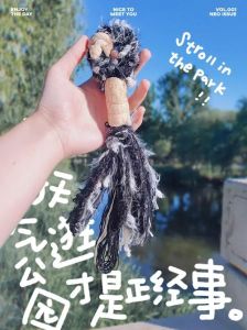 逛公园看到蛇了寓意：解读生活转折的神秘象征