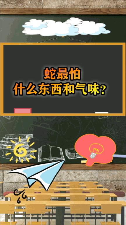蛇是怕冷还是怕热：生存习性揭秘与自然奇观探索