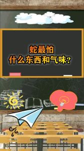 蛇是怕冷还是怕热：生存习性揭秘与自然奇观探索