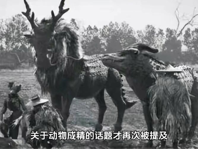 1998年长江巨浪下的走蛟传说揭秘