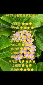 2025年星座运势：白羊金牛双子事业财运丰收