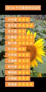 2025年星座运势翻身：白羊巨蟹狮子天秤事业财运旺