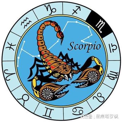 2025年四大星座事业巅峰：白羊狮子天蝎摩羯腾飞时刻！
