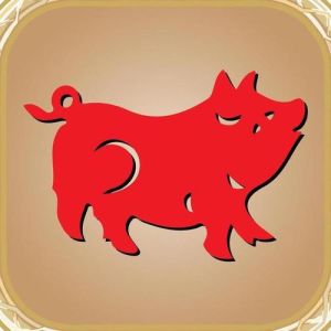 12月10日生肖牛鼠猪：机遇与挑战并存，梦想触手可及