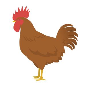12月10日生肖运势大爆发！兔羊鸡牛大吉大利！