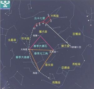 2025桃花季：星座生肖爱情指南，邂逅真爱密码！