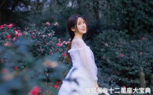 星座生肖女孩分手揭秘：勇敢蜕变，追寻幸福之路