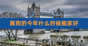 2024属狗人12月最佳搬家吉日揭晓！