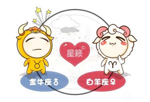 白羊揭露情感真相，金牛洞察爱情谜团，登录揭秘！