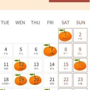12月7日搬家几点最好：如何选时辰避冲煞，迎好运！