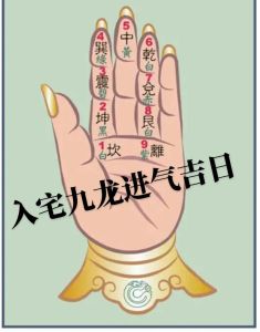 怎样看入宅进火的日子：传统与现代的家居祝福之旅