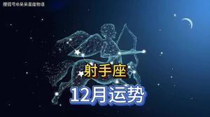 2024年12月9日：射手座运势日历揭秘